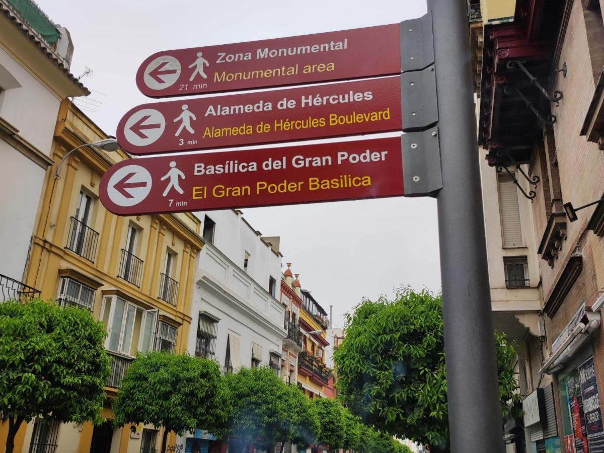 Estudio Rufina.Tranquilidad ,Alameda De Hercules! Sevilla Buitenkant foto